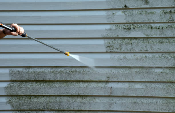 Trusted Toast, NC Pressure Washing Services Experts